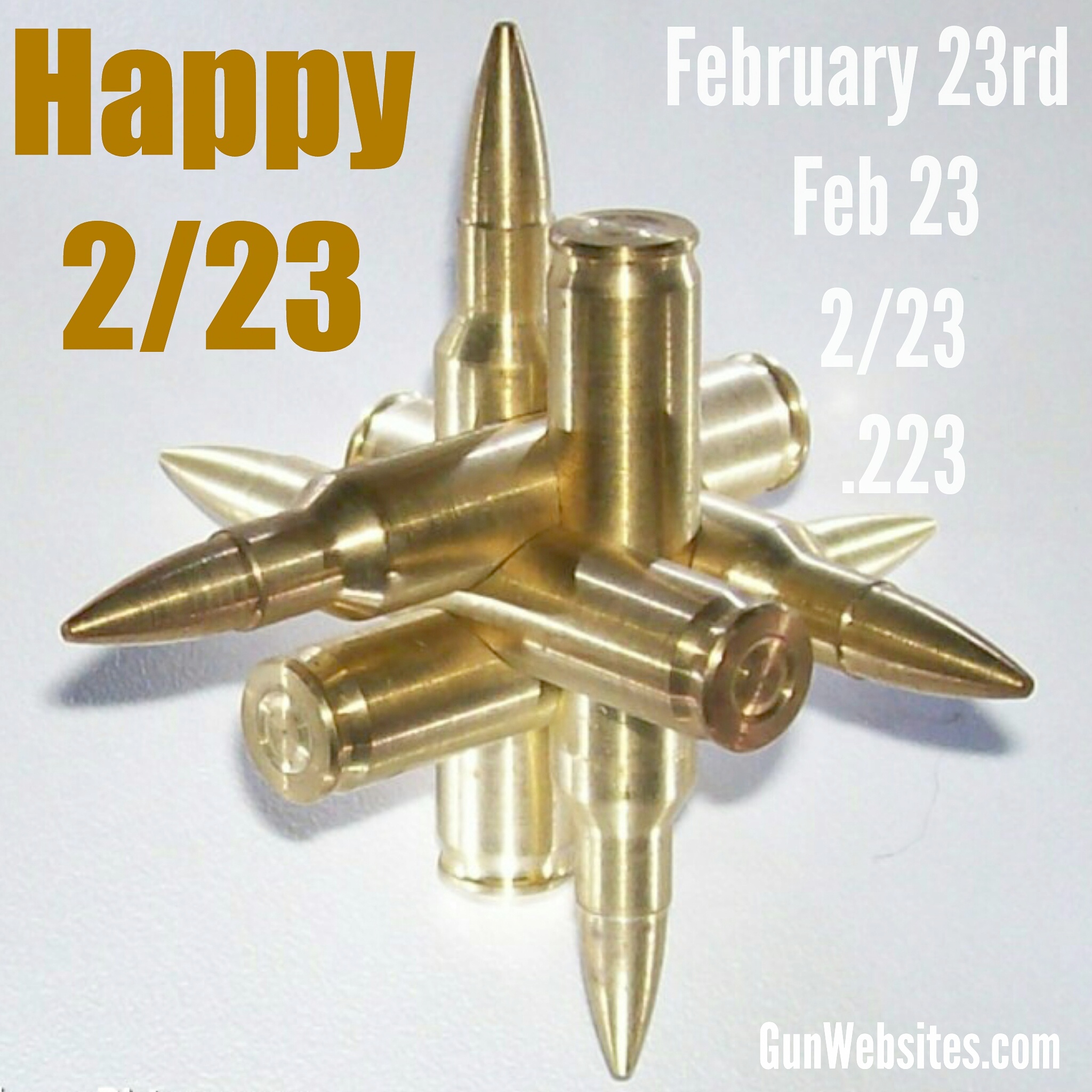 223 Day | Gun Calendars